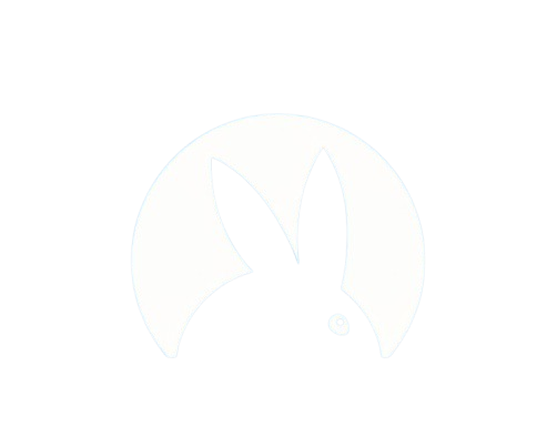 RapidRabbit